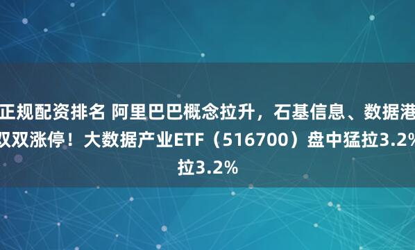 正规配资排名 阿里巴巴概念拉升，石基信息、数据港双双涨停！大数据产业ETF（516700）盘中猛拉3.2%