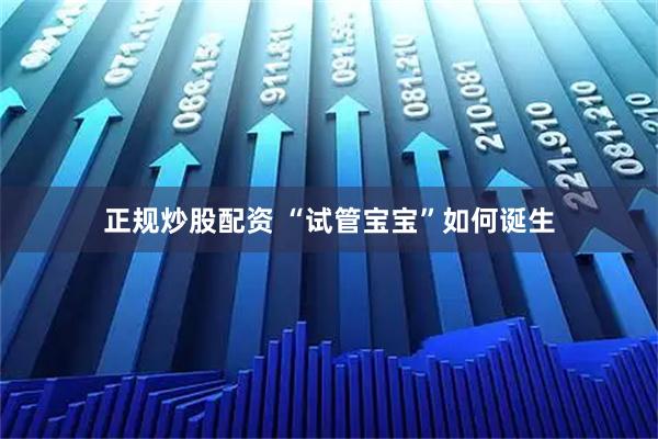 正规炒股配资 “试管宝宝”如何诞生
